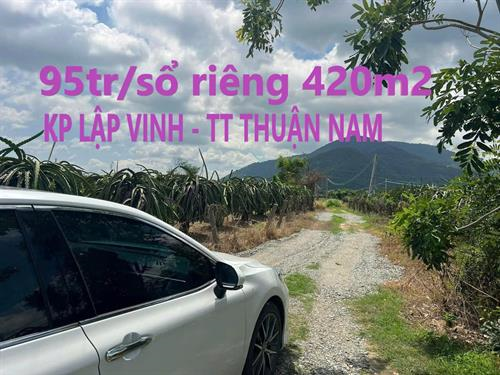 Đất sào TT Hàm Thuận Nam 